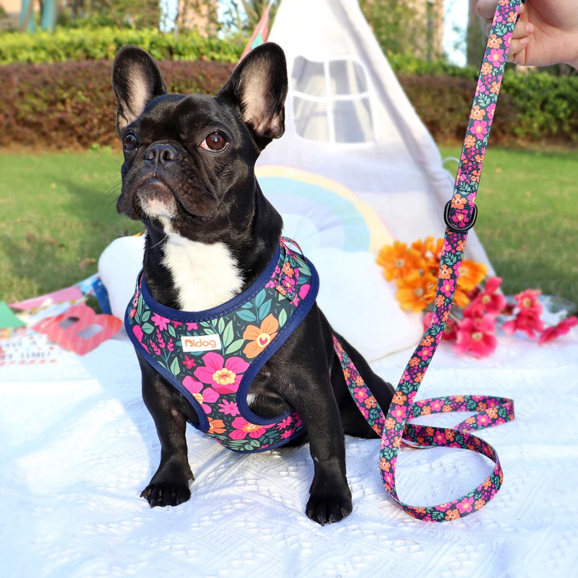 Adjustable Mesh French Bulldog Harness & Leash Set - Printed Puppy Vest