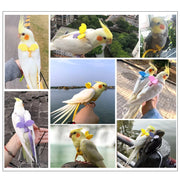 Adjustable Parrot Harness and Outdoor Flying Leash