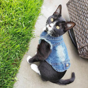 Cat Denim Vest Jacket - Casual Spring Autumn Kitten Outfit