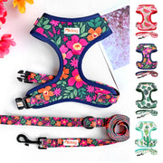 Adjustable Mesh French Bulldog Harness & Leash Set - Printed Puppy Vest