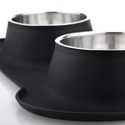 Anti-Slip Double Dog Bowl with Stainless Steel Inserts and Mat