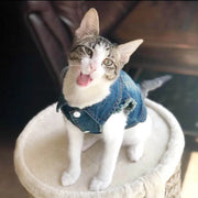 Cat Denim Vest Jacket - Casual Spring Autumn Kitten Outfit