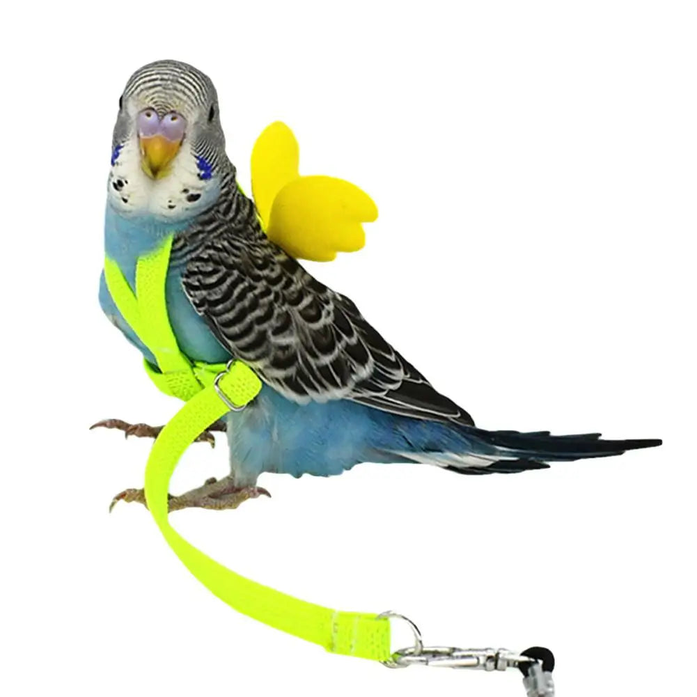 Adjustable Parrot Harness and Outdoor Flying Leash