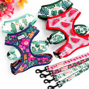 Adjustable Mesh French Bulldog Harness & Leash Set - Printed Puppy Vest