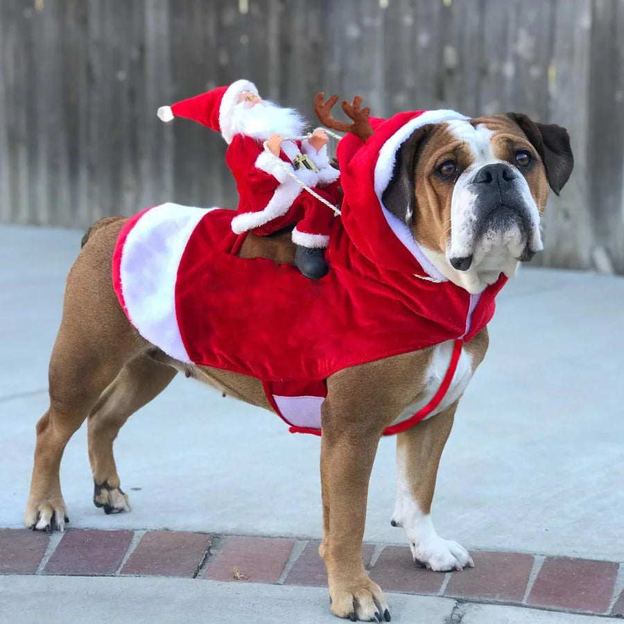 Santa Festival Dog & Cat Costume - Funny Christmas Party Outfit