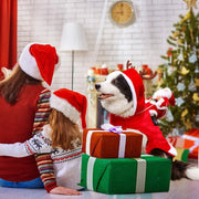 Santa Festival Dog & Cat Costume - Funny Christmas Party Outfit