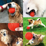 HOOPET Bite-Resistant Rubber Ball Dog Toy - Solid Chew & Fetch Ball