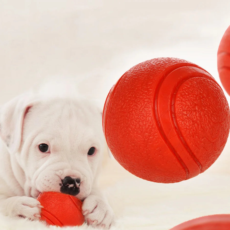 HOOPET Bite-Resistant Rubber Ball Dog Toy - Solid Chew & Fetch Ball