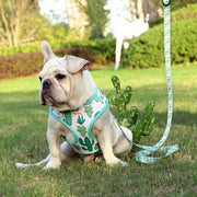 Adjustable Mesh French Bulldog Harness & Leash Set - Printed Puppy Vest
