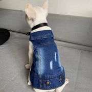 Cat Denim Vest Jacket - Casual Spring Autumn Kitten Outfit