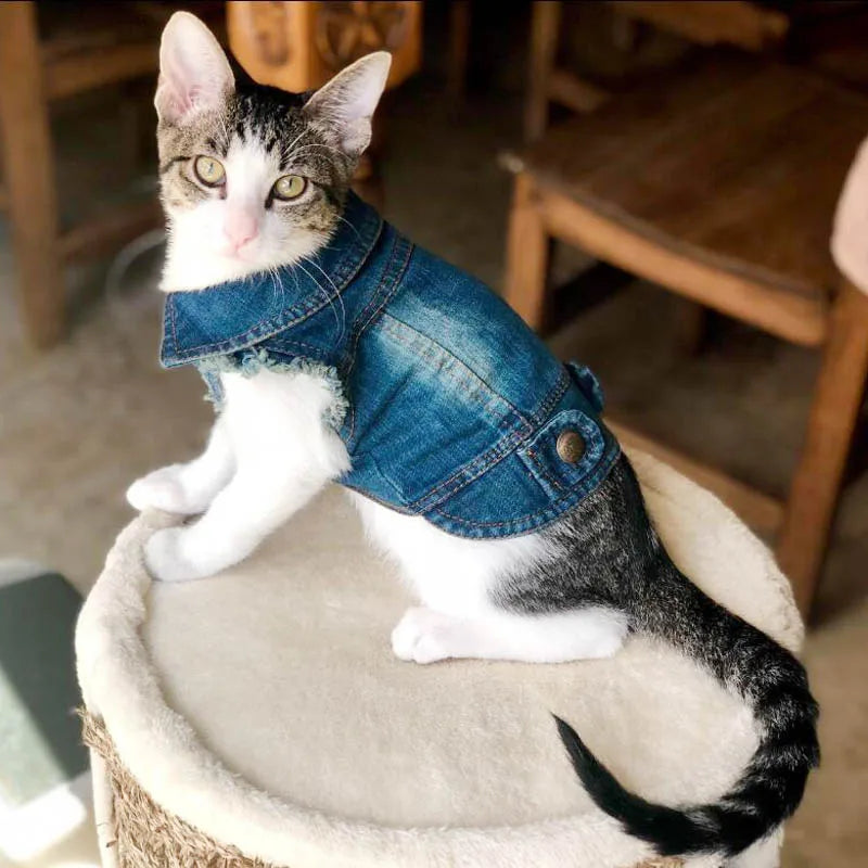 Cat Denim Vest Jacket - Casual Spring Autumn Kitten Outfit