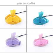 Adjustable Parrot Harness and Outdoor Flying Leash