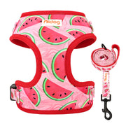 Adjustable Mesh French Bulldog Harness & Leash Set - Printed Puppy Vest