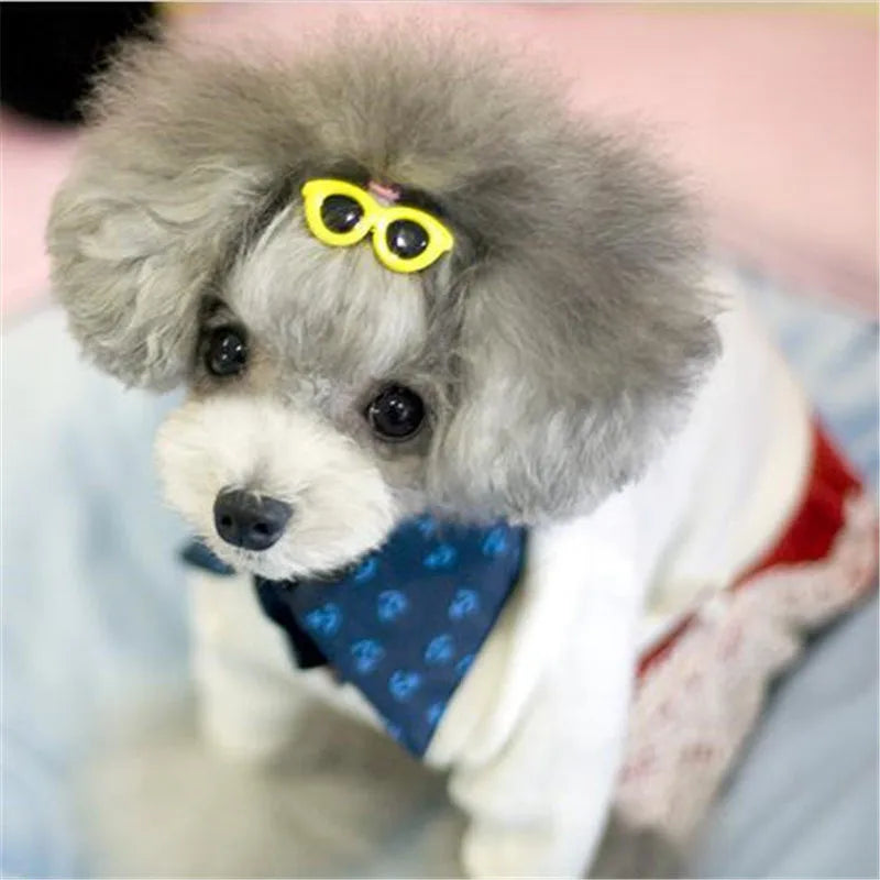 Heart Sunglasses & Hair Clip Pet Accessory - Cute Dog & Cat Decor