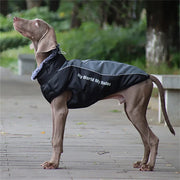 Big Dog Winter Coat With Fur Collar - Warm XL-6XL Jacket