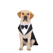 Dog Formal Tuxedo Shirt With Bow Tie - Wedding Party Pet Outfit