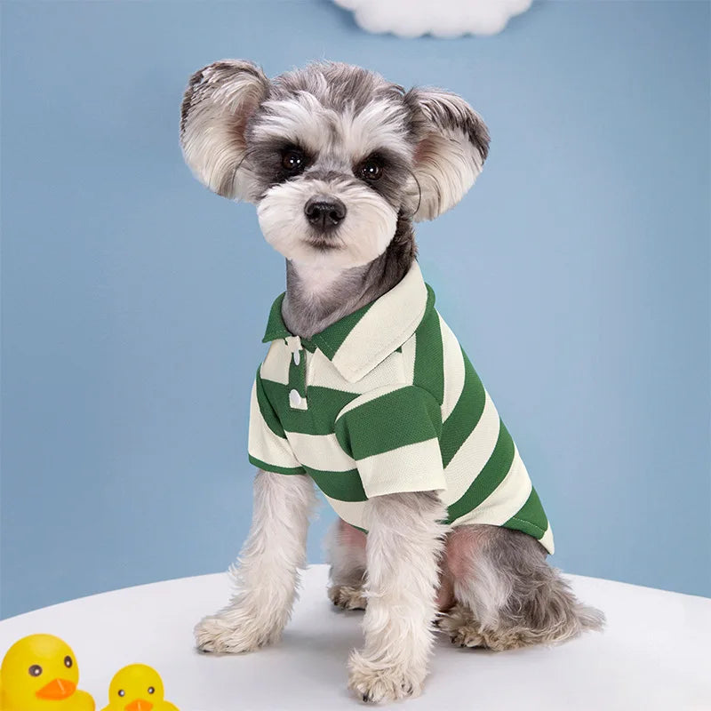 Dog Outfits