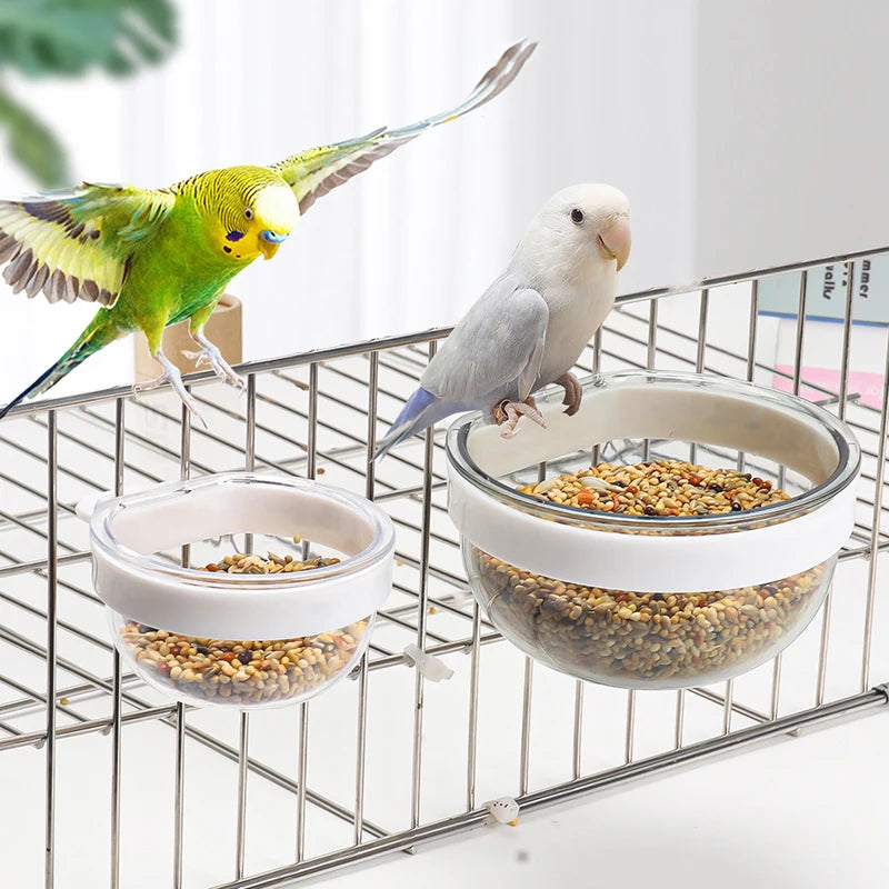 Detachable Transparent Bird Food and Water Cup