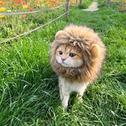 Lion Mane Cat Hat - Elastic Pet Headgear for Photos & Parties