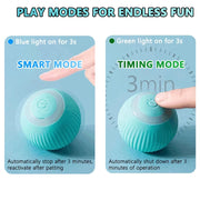 Rechargeable Smart Interactive Cat Ball with Type-C Cable