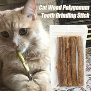 Natural Catnip Molar Chew Sticks for Cats