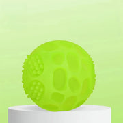 Glow-in-the-Dark Squeaky Dog Ball - TPR Chew & Teeth Cleaning Toy