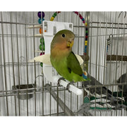 Parrot Fruit and Vegetable Clip Holder for Bird Cages