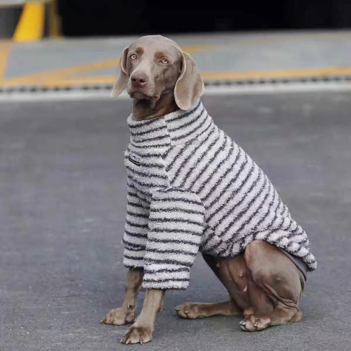Striped Fleece Dog Sweater - Turtleneck Pullover for Medium Large Dogs