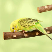 Natural Wood Parakeet Perch Stand and Paw Grinding Branch