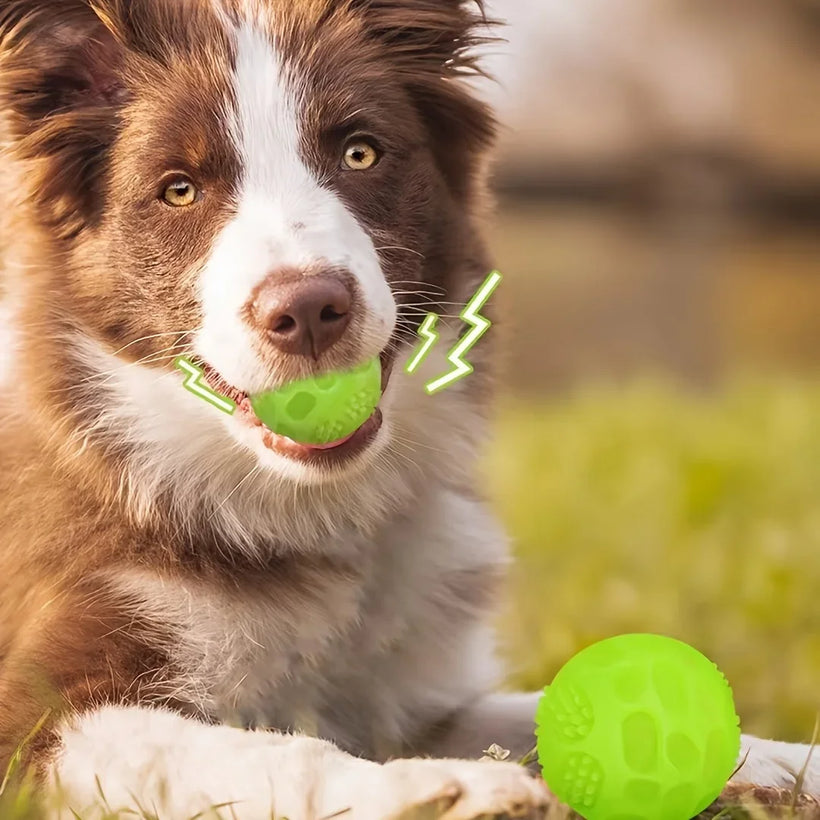 Glow-in-the-Dark Squeaky Dog Ball - TPR Chew & Teeth Cleaning Toy