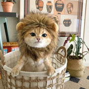 Lion Mane Cat Hat - Elastic Pet Headgear for Photos & Parties