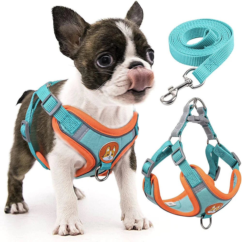 Step-In Reflective Dog Harness & Leash Set - Soft Adjustable Puppy Vest