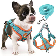 Step-In Reflective Dog Harness & Leash Set - Soft Adjustable Puppy Vest