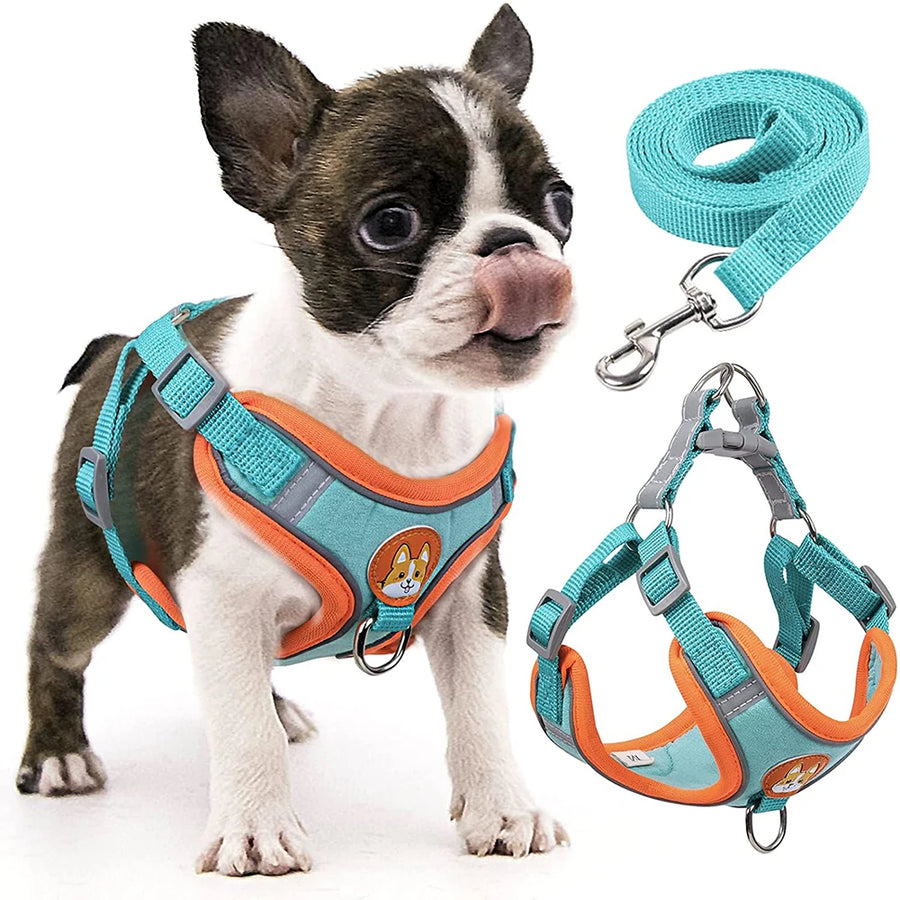Step-In Reflective Dog Harness & Leash Set - Soft Adjustable Puppy Vest