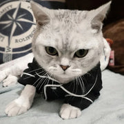 Christmas Cat Hoodie Costume - Winter Sphynx Sweatshirt Suit