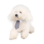 Adjustable Pet Bow Tie Necktie Collar for Dogs and Cats