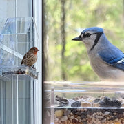 Clear Acrylic Window Bird Feeder with Suction Cups