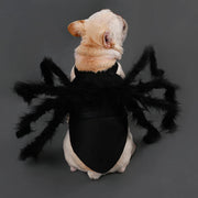 Halloween Spider Pet Costume - Funny Dog & Cat Cosplay Outfit
