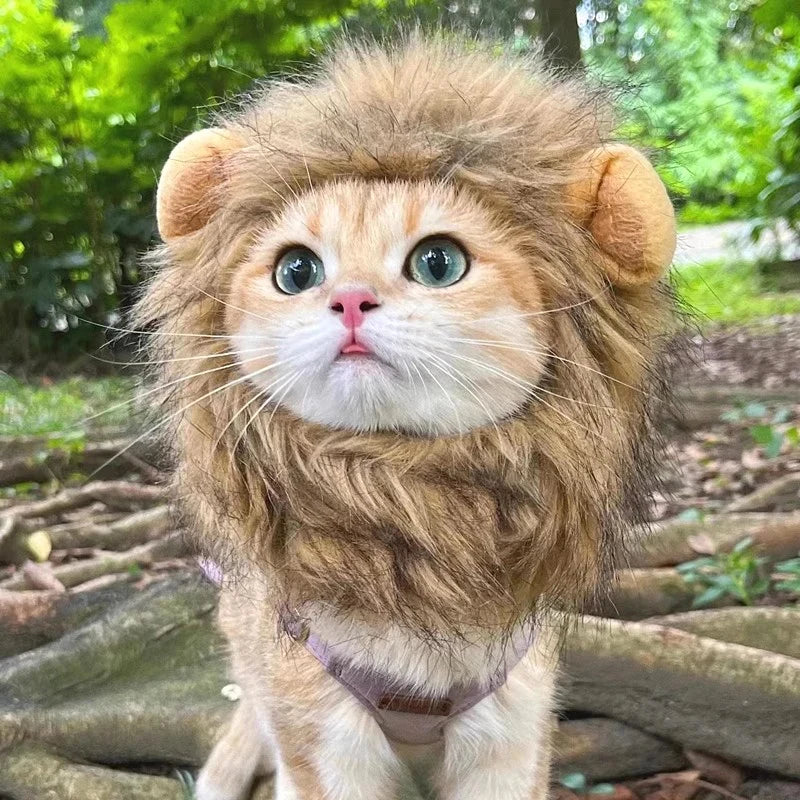 Lion Mane Cat Hat - Elastic Pet Headgear for Photos & Parties