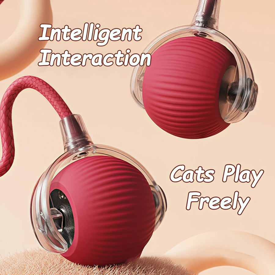 Rechargeable Automatic Rolling Cat Ball with Faux Tail