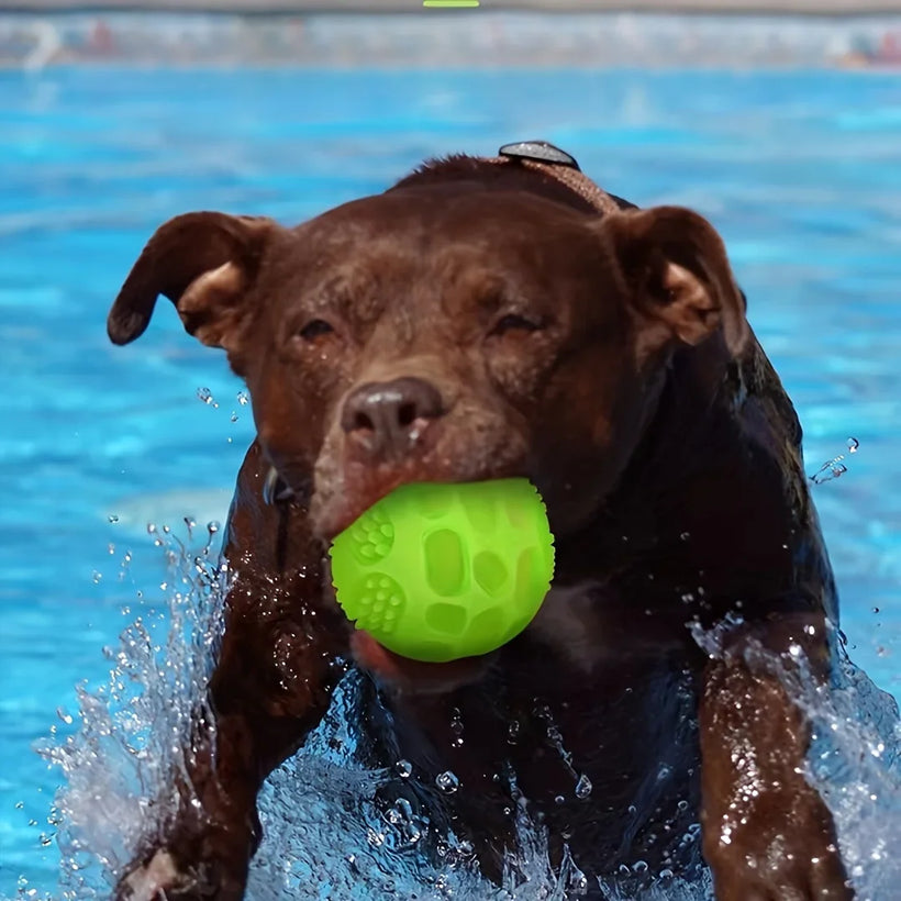 Glow-in-the-Dark Squeaky Dog Ball - TPR Chew & Teeth Cleaning Toy