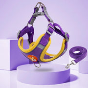 Step-In Reflective Dog Harness & Leash Set - Soft Adjustable Puppy Vest