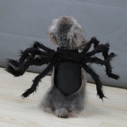 Halloween Spider Pet Costume - Funny Dog & Cat Cosplay Outfit