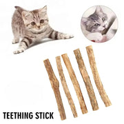Natural Catnip Molar Chew Sticks for Cats