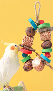 Natural Corn Cob and Loofah Parrot Chewing Toy