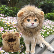 Lion Mane Cat Hat - Elastic Pet Headgear for Photos & Parties