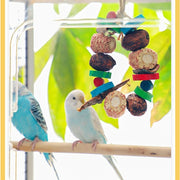 Natural Corn Cob and Loofah Parrot Chewing Toy