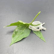 Parrot Fruit and Vegetable Clip Holder for Bird Cages
