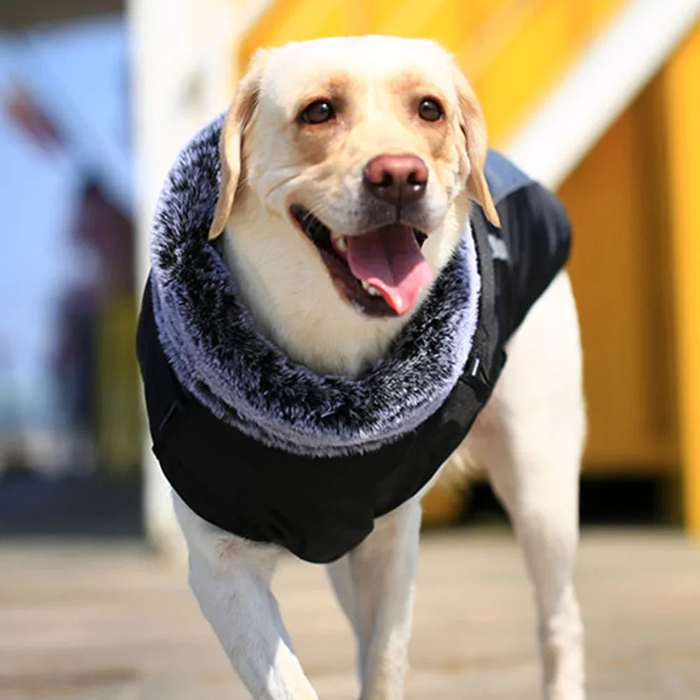 Big Dog Winter Coat With Fur Collar - Warm XL-6XL Jacket