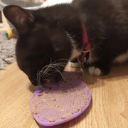 Silicone Slow Feeding Lick Mat with Suction Cups for Small Pets